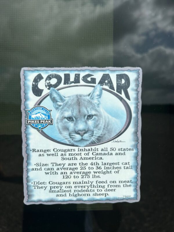 2016 Keystone Cougar 303RL - Image 20